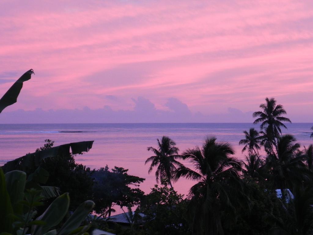 Fare Arana Moorea Guesthouse Atiha المظهر الخارجي الصورة