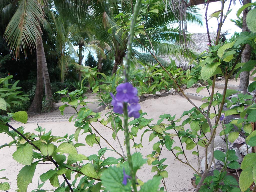 Fare Arana Moorea Guesthouse Atiha المظهر الخارجي الصورة